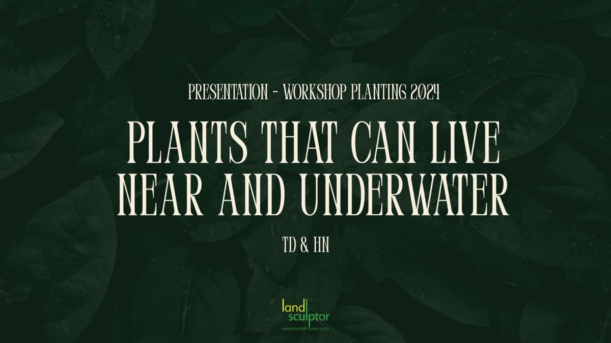 Workshop: Plants that can live near and underwater
