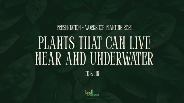 Workshop: Plants that can live near and underwater