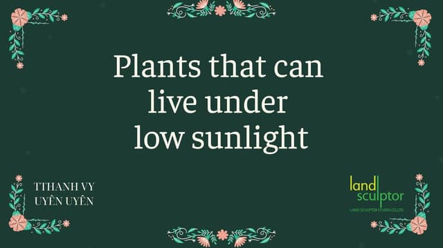 Workshop: Plants that can live under low sunlight