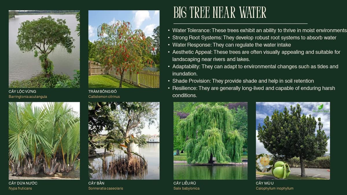 Workshop: Plants that can live near and underwater — 9