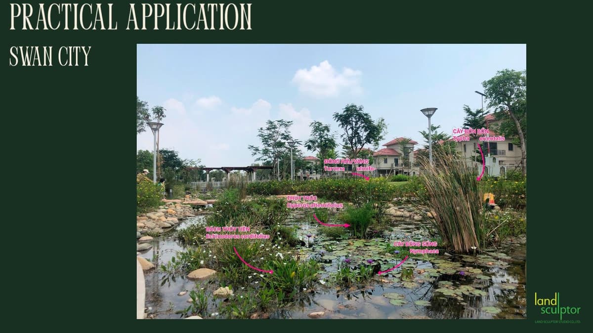 Workshop: Plants that can live near and underwater — 12