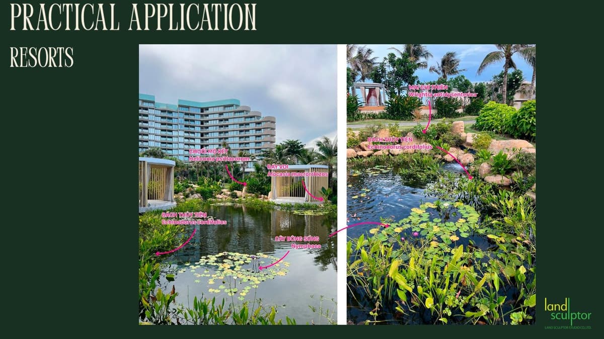 Workshop: Plants that can live near and underwater — 14