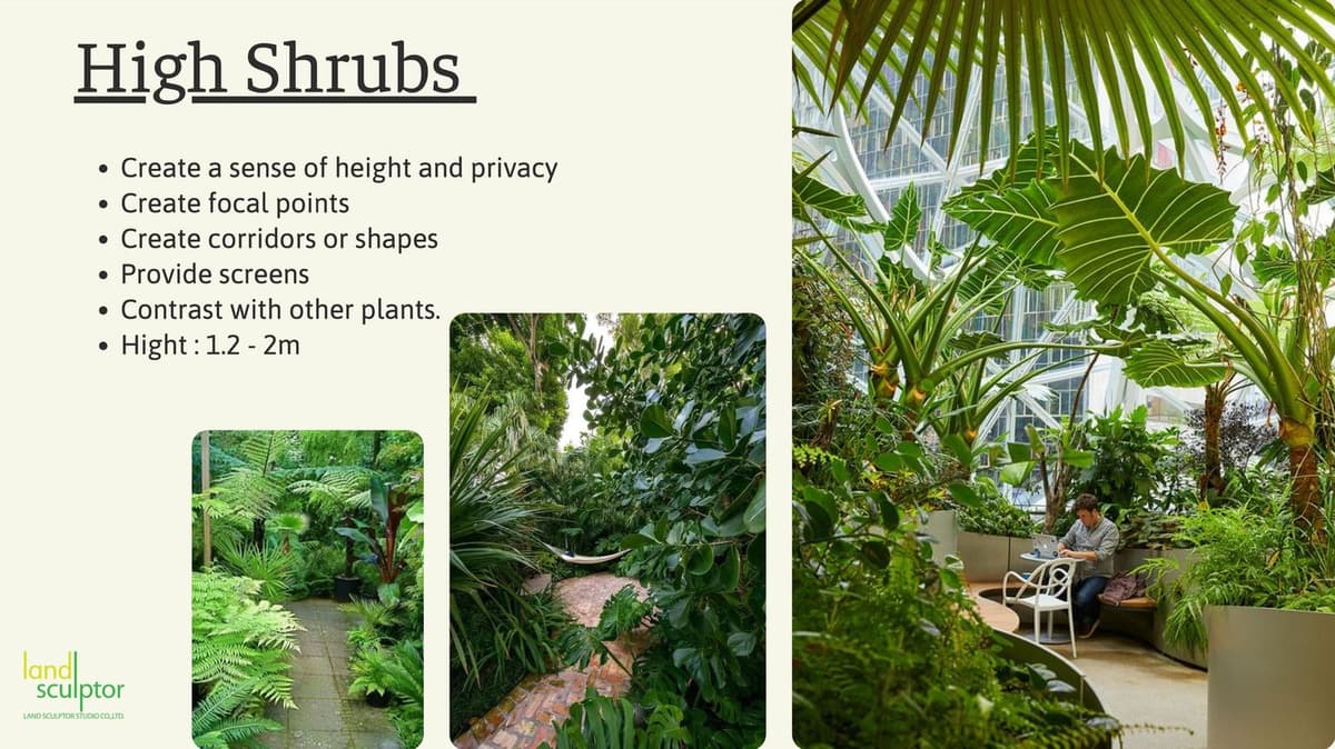 Workshop: Plants that can live under low sunlight — 4