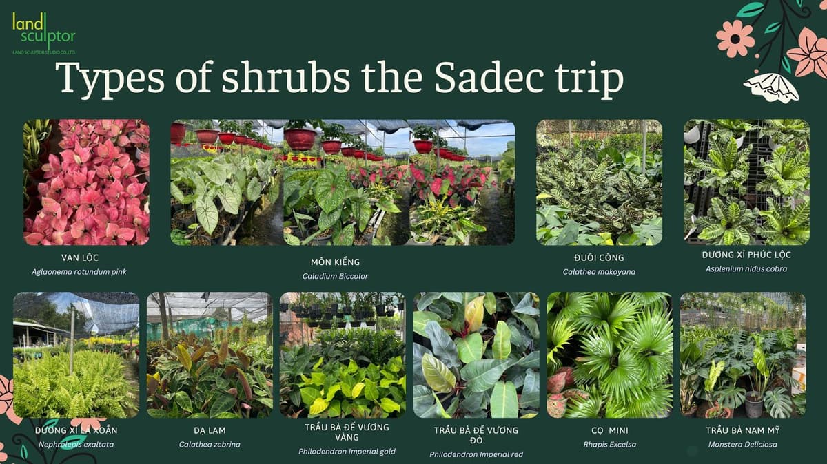Workshop: Plants that can live under low sunlight — 7