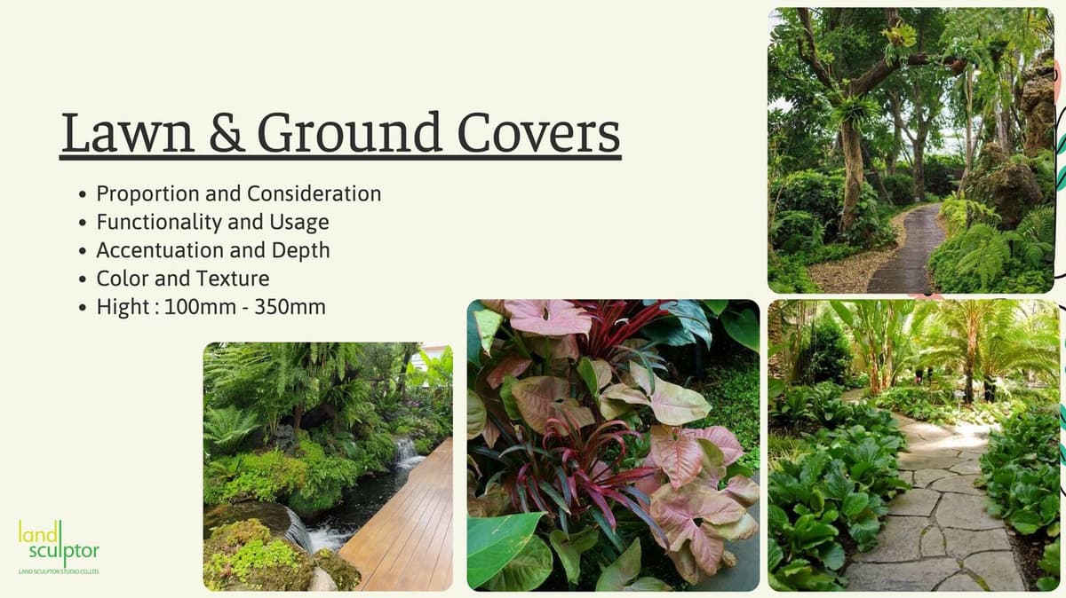 Workshop: Plants that can live under low sunlight — 8