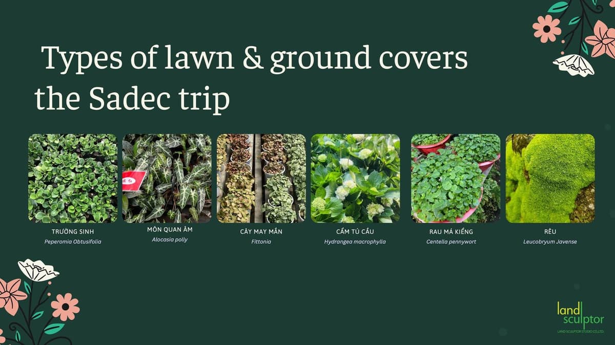 Workshop: Plants that can live under low sunlight — 9