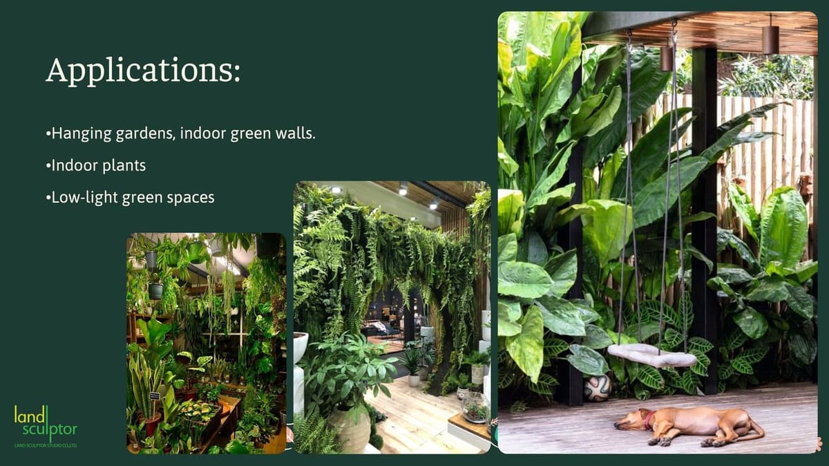 Workshop: Plants that can live under low sunlight — 10